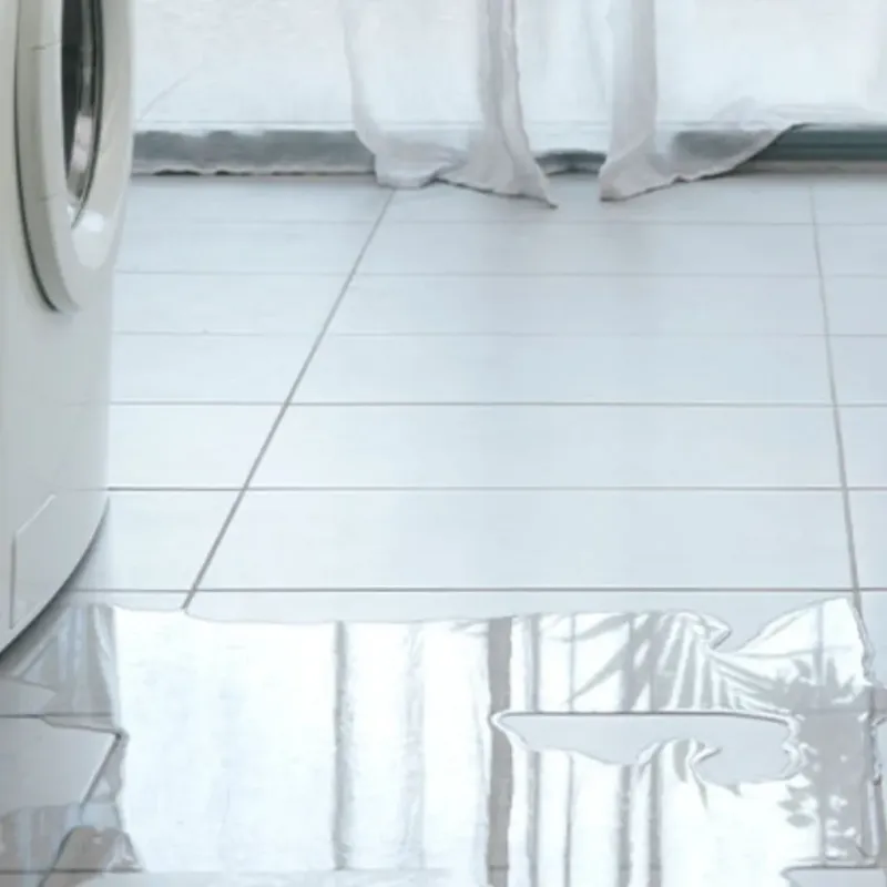 Appliance Leak Cleanup in Junction City, OR