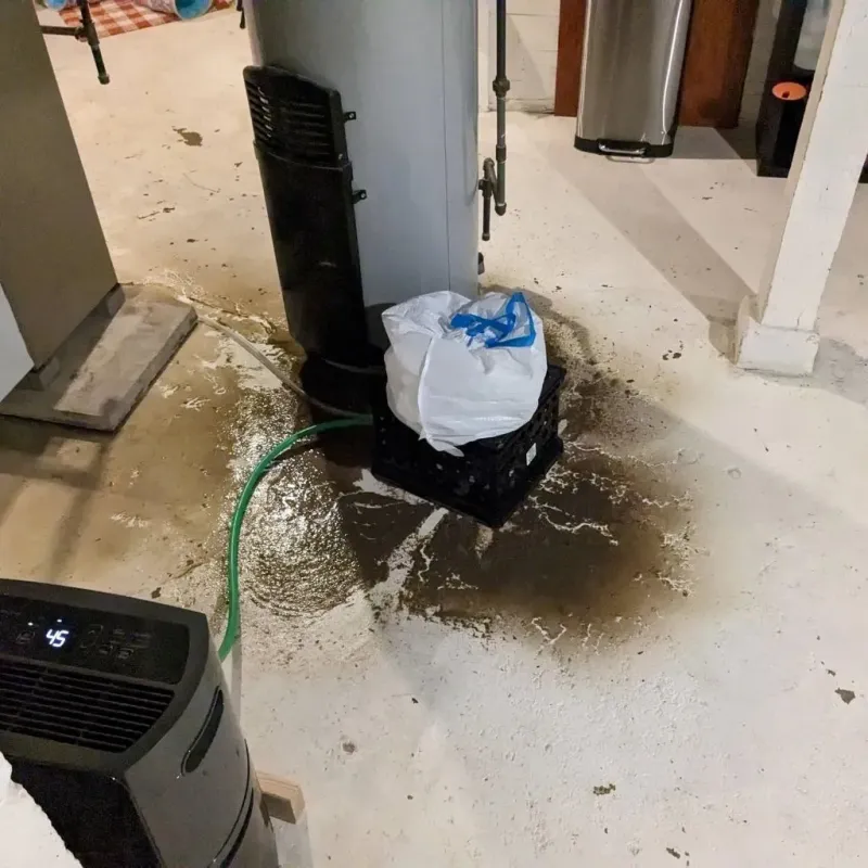 Sewage Backup Cleanup Service in Junction City, OR